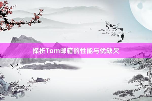 探析Tom邮箱的性能与优缺欠